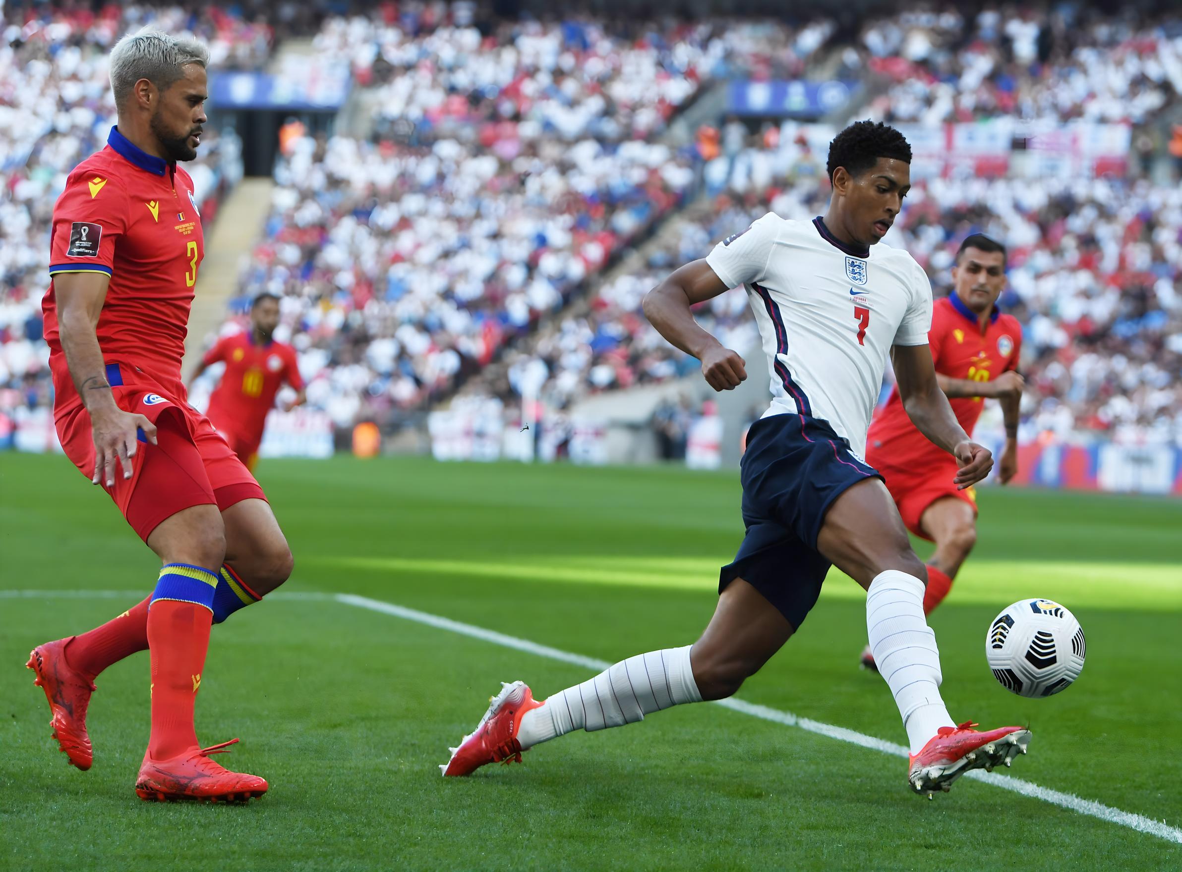 已成为球迷 已成为球迷