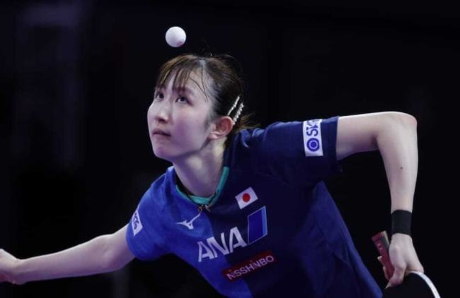 关注的明星 关注的明星