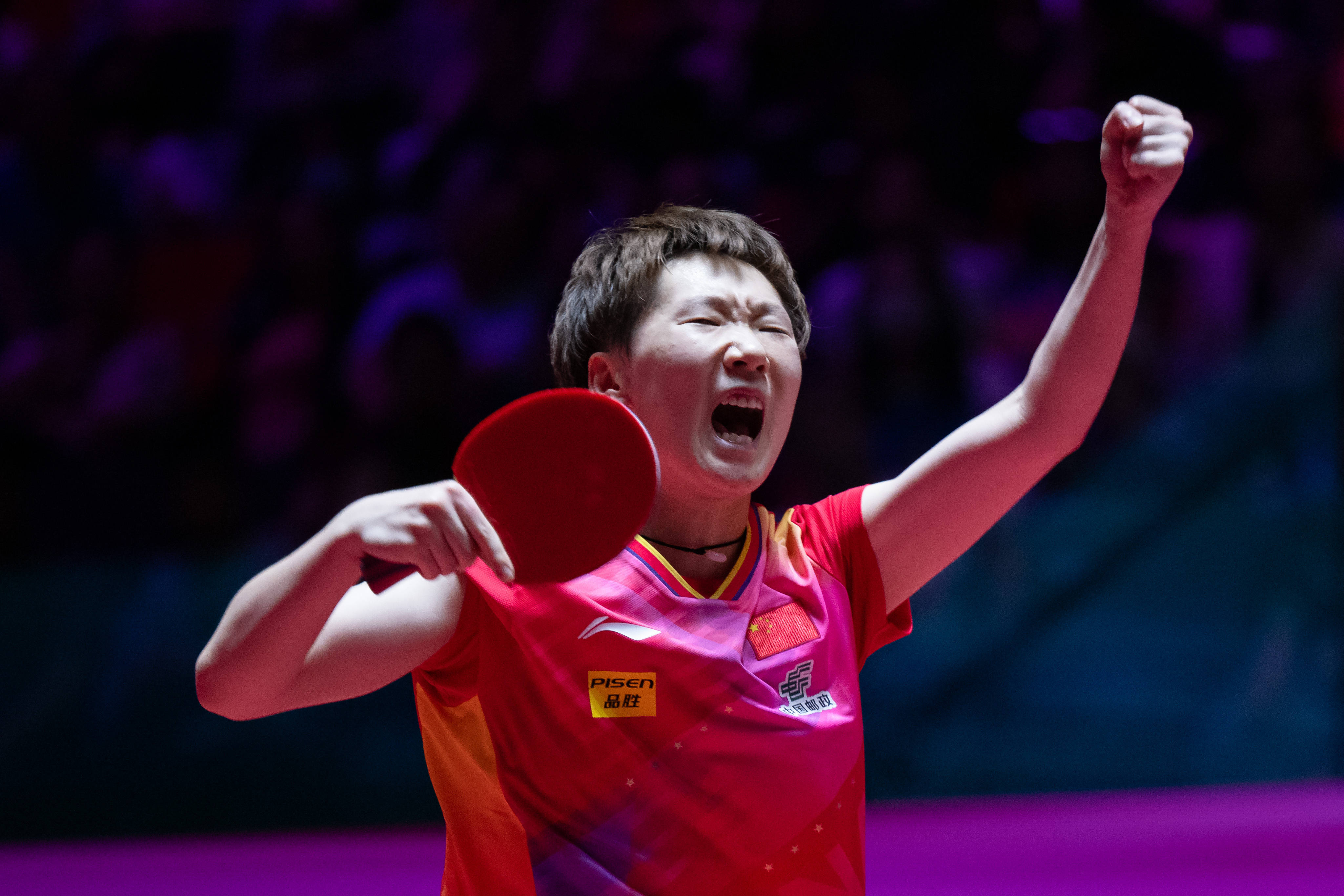 力的展示 力的展示