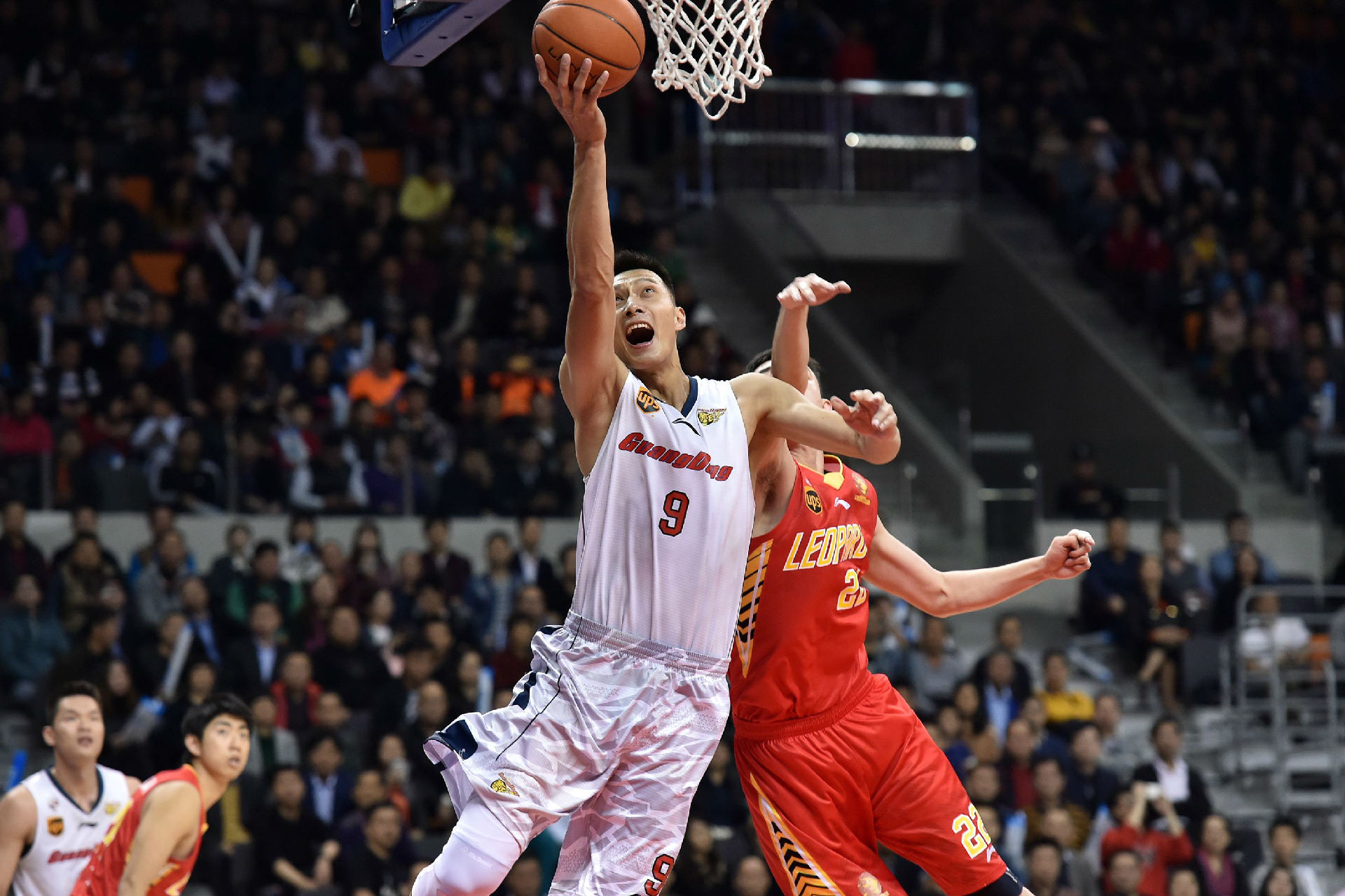 同样在积极 同样在积极