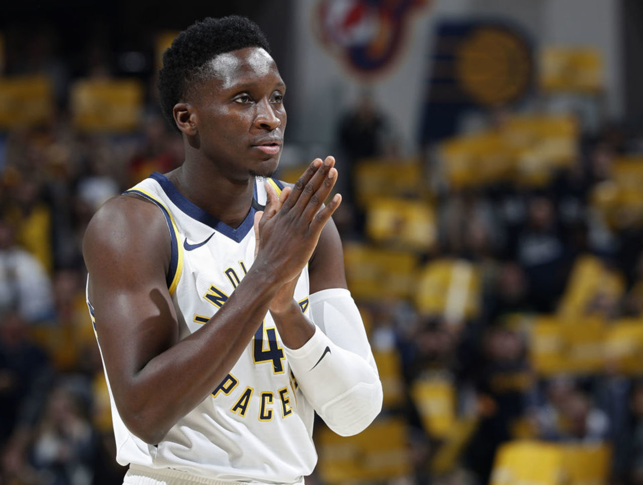 还融入了活 还融入了活