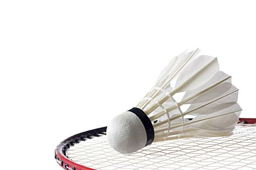 凭借强劲的 凭借强劲的