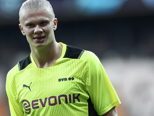 塞尔塔的轮 塞尔塔的轮